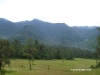 picoduarte - 64